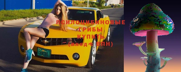 крисы Бронницы