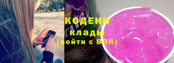 мдпв Козельск