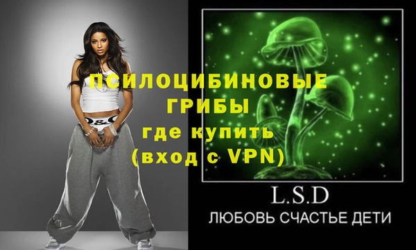 крисы Кодинск