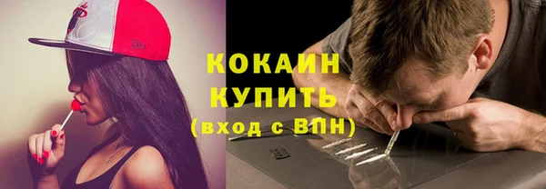 крисы Бронницы