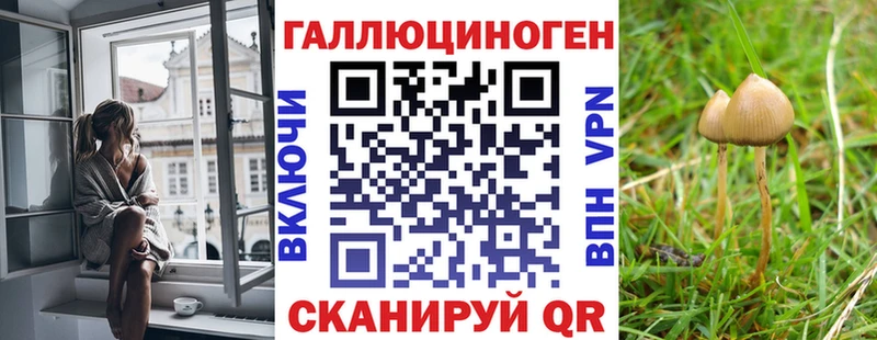 купить   Волчанск  Галлюциногенные грибы Psilocybe 